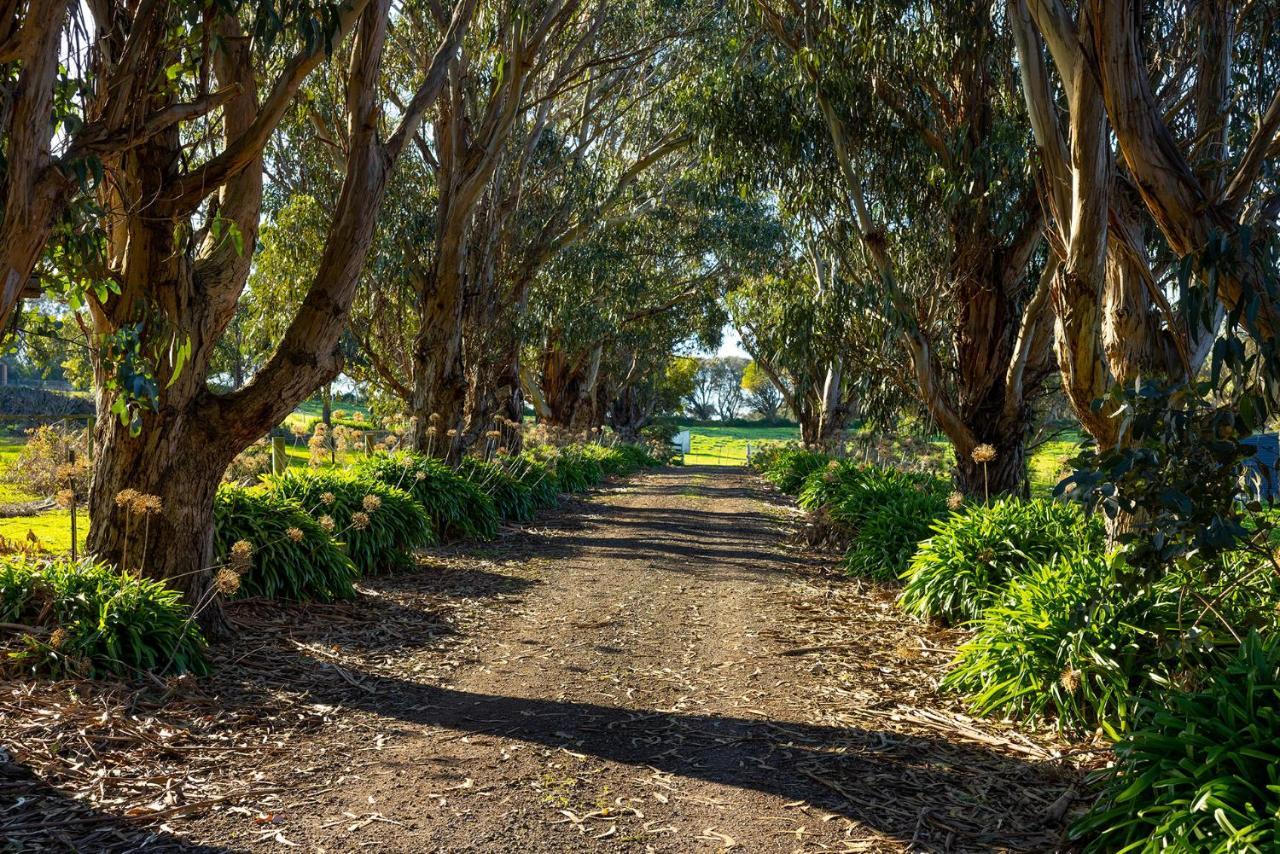 Апартаменты Harmony At Tower Hill Koroit Экстерьер фото